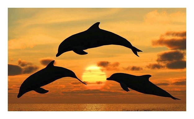 4teamworkmakesadreamwork